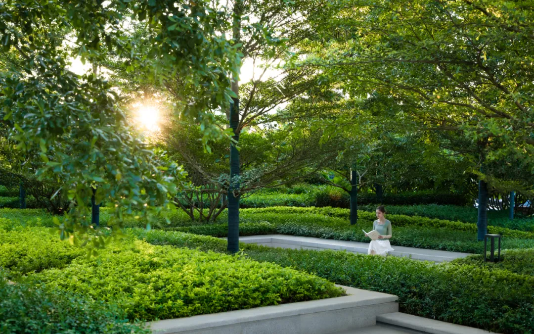 1735542022855452.jpg 1735542013906.jpg