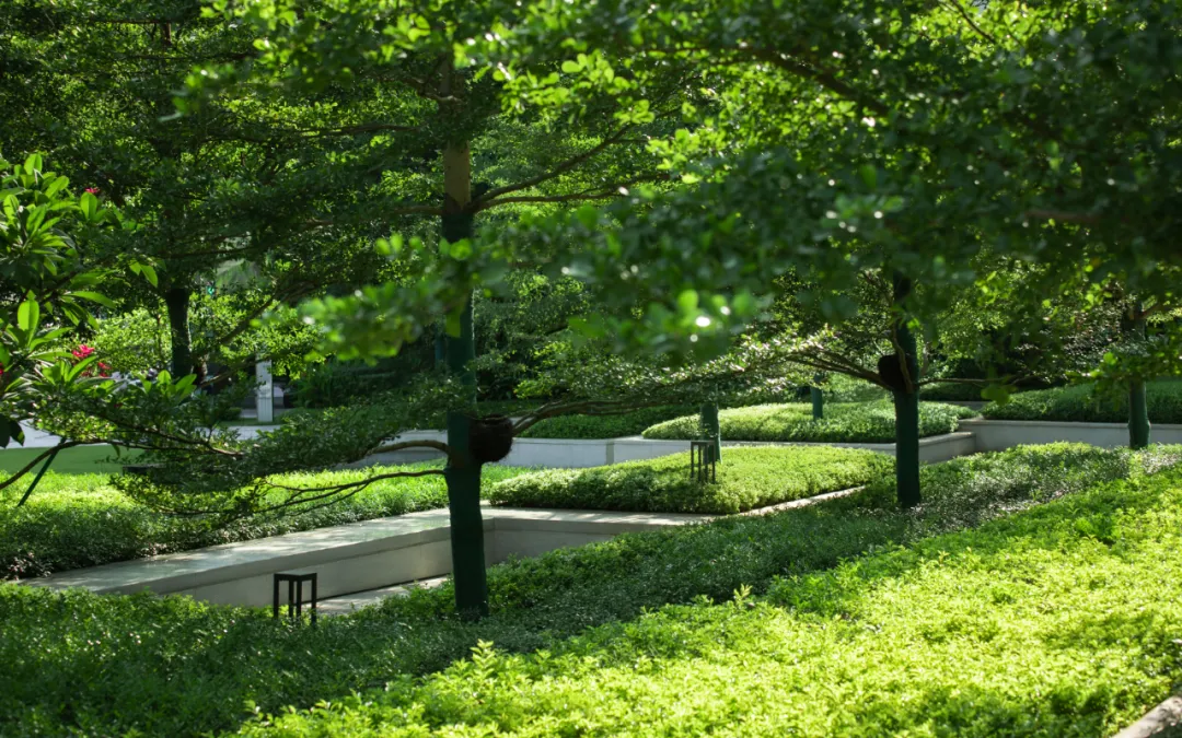 1735542026852326.jpg 1735542015854.jpg