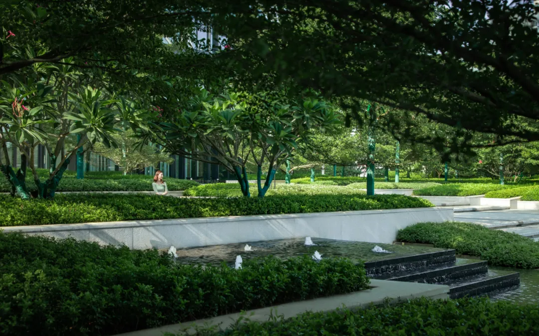 1735542041115346.jpg 1735542037518.jpg