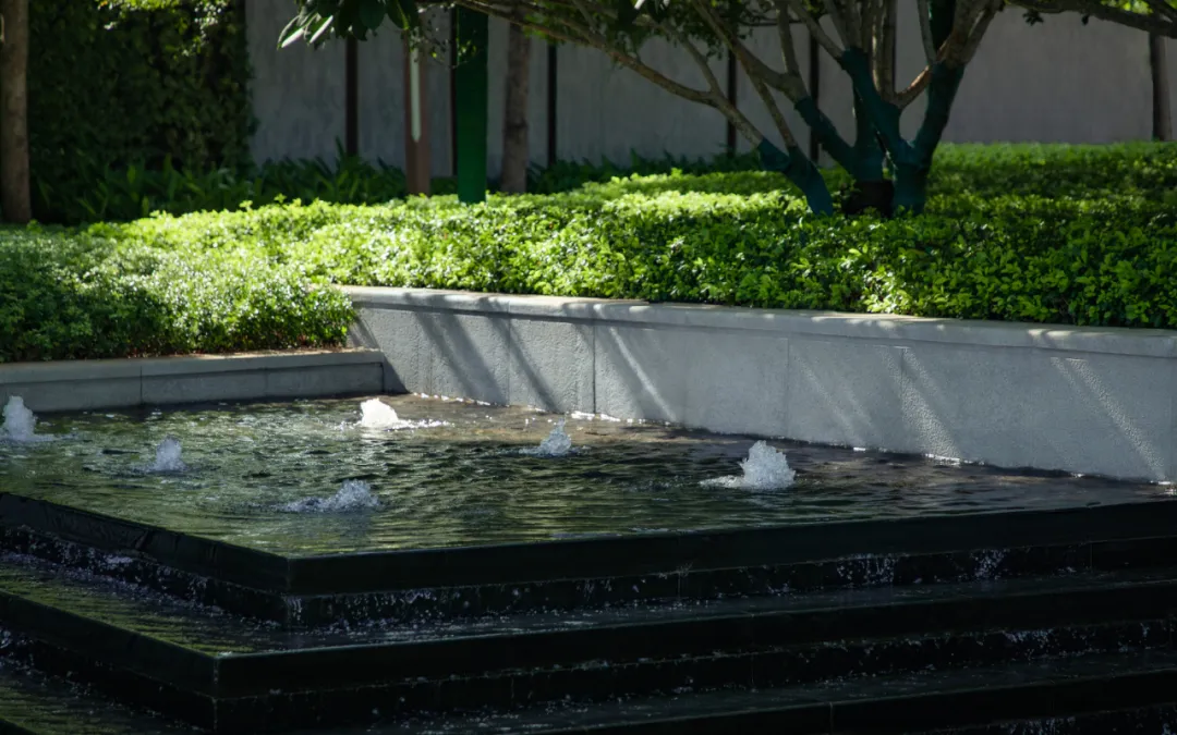 1735542044163568.jpg 1735542038988.jpg