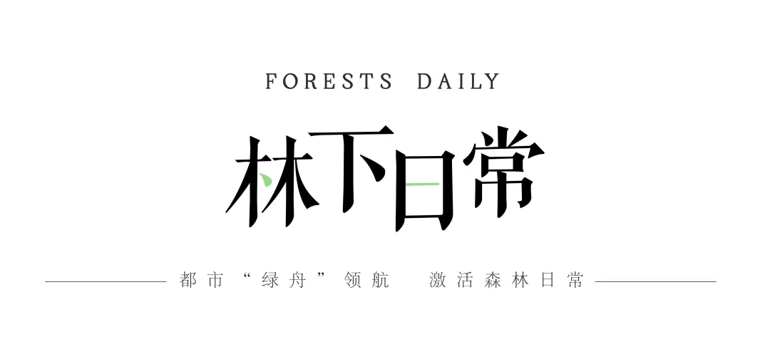 1735542053164604.jpg 1735542052020.jpg