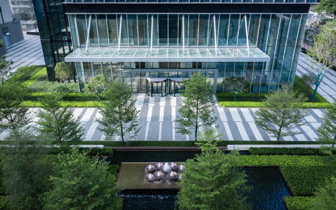 1735542230144178.jpg 1735542176591.jpg