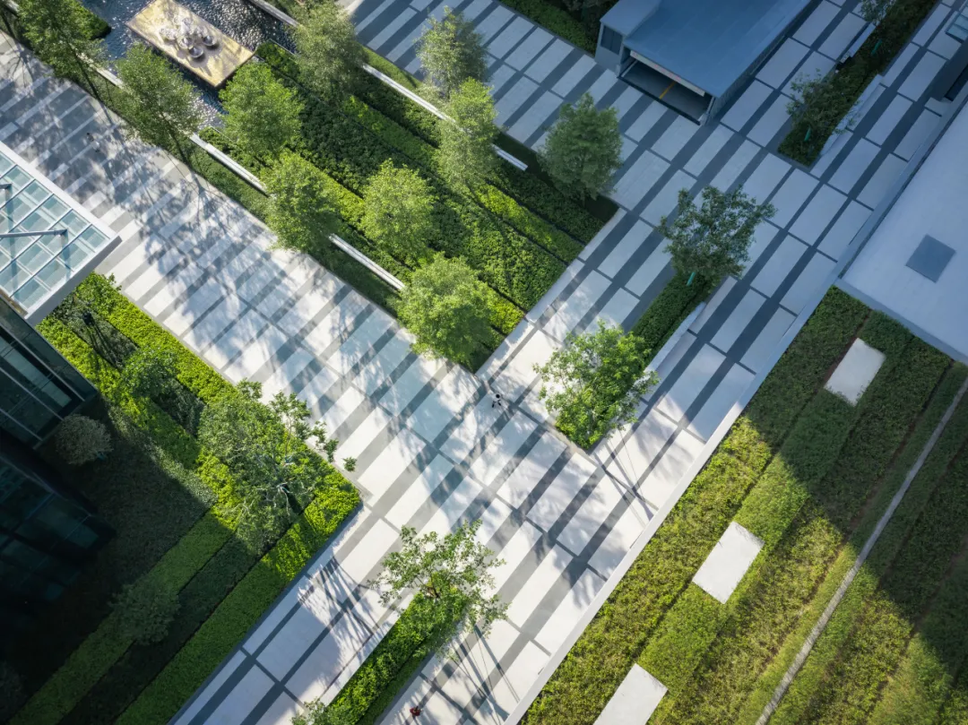 1735542235432611.jpg 1735542198067.jpg