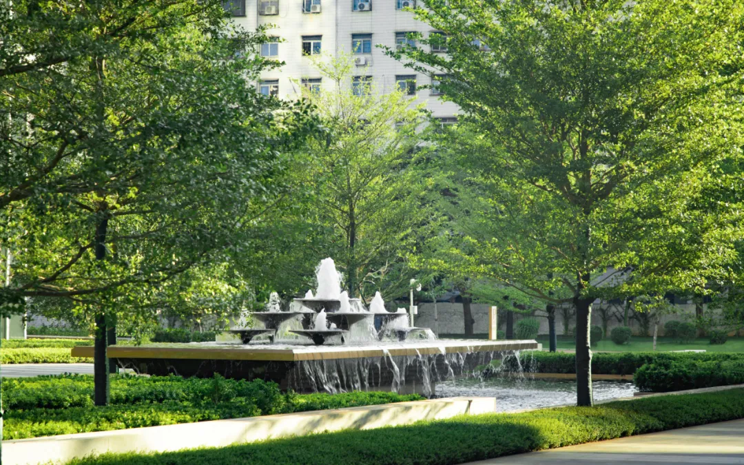 1735542276553492.jpg 1735542263354.jpg