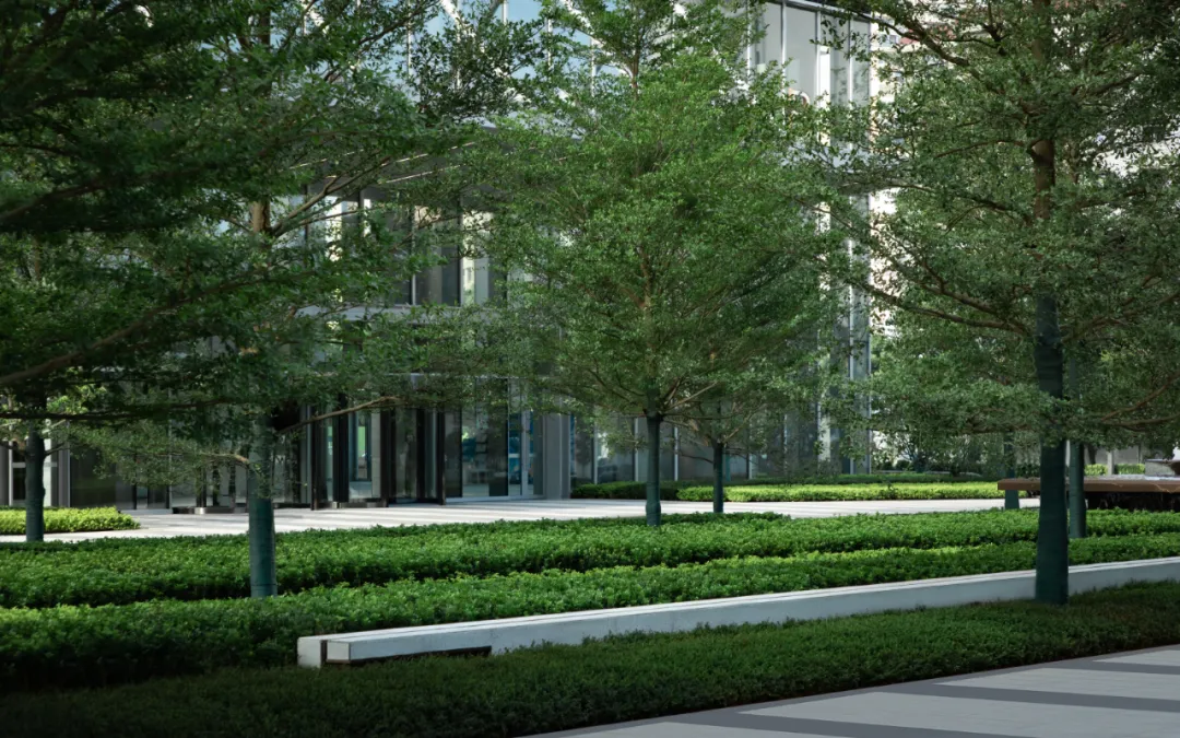 1735542281828919.jpg 1735542264772.jpg