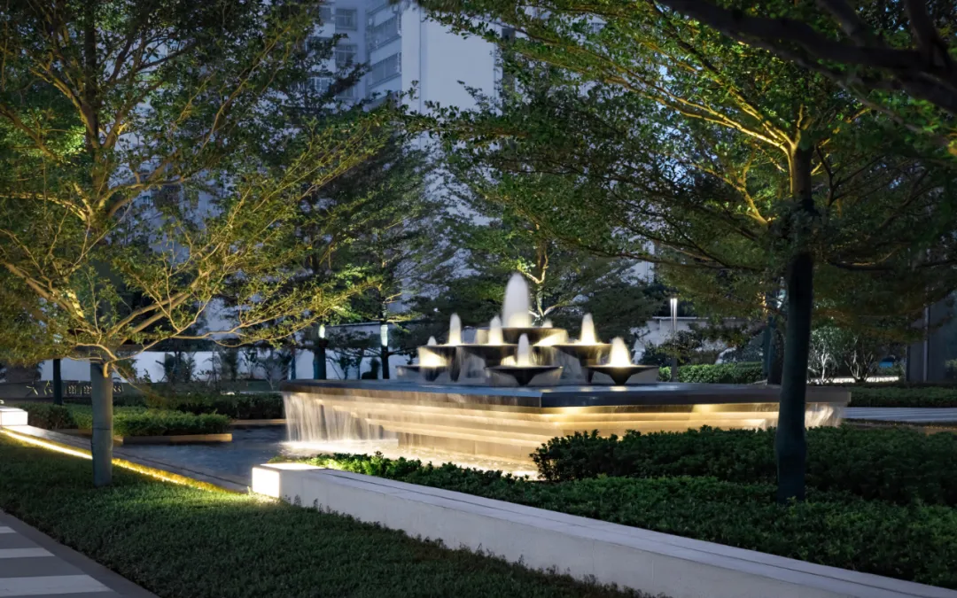 1735542296190119.jpg 1735542270704.jpg