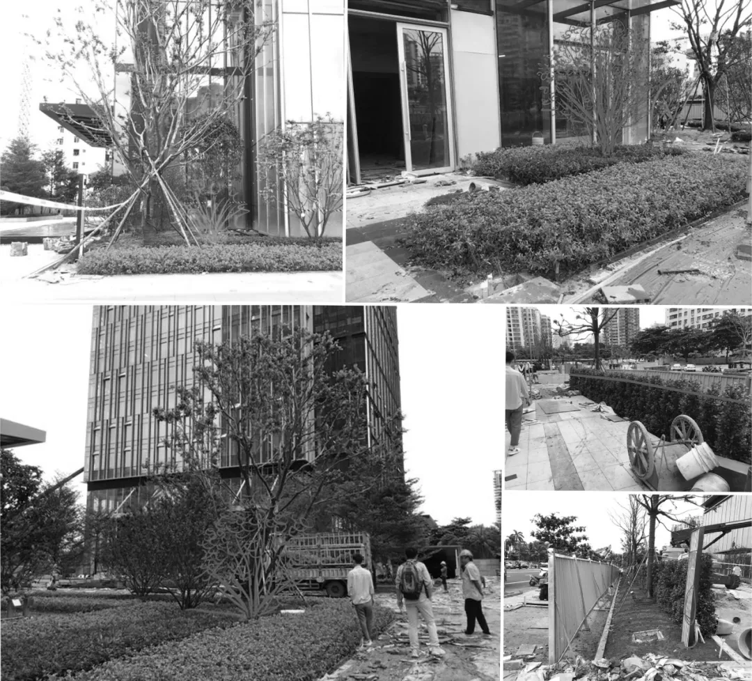 1735542404126881.jpg 1735542395069.jpg