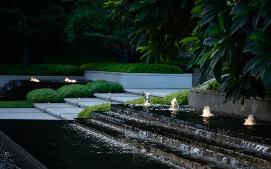 1735542462128748.jpg 1735542435447.jpg