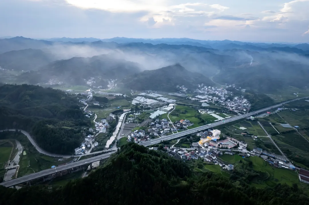 1735608375693362.jpg 1735608362541.jpg