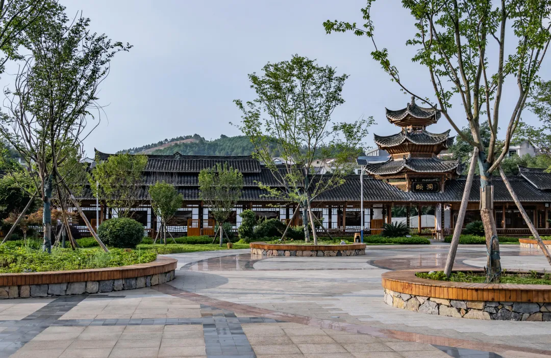 1735608399211164.jpg 1735608392976.jpg