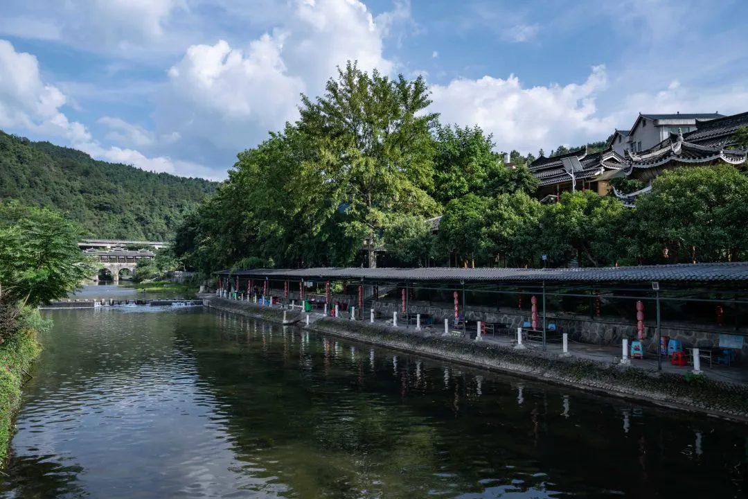 1735608416680527.jpg 1735608411145.jpg