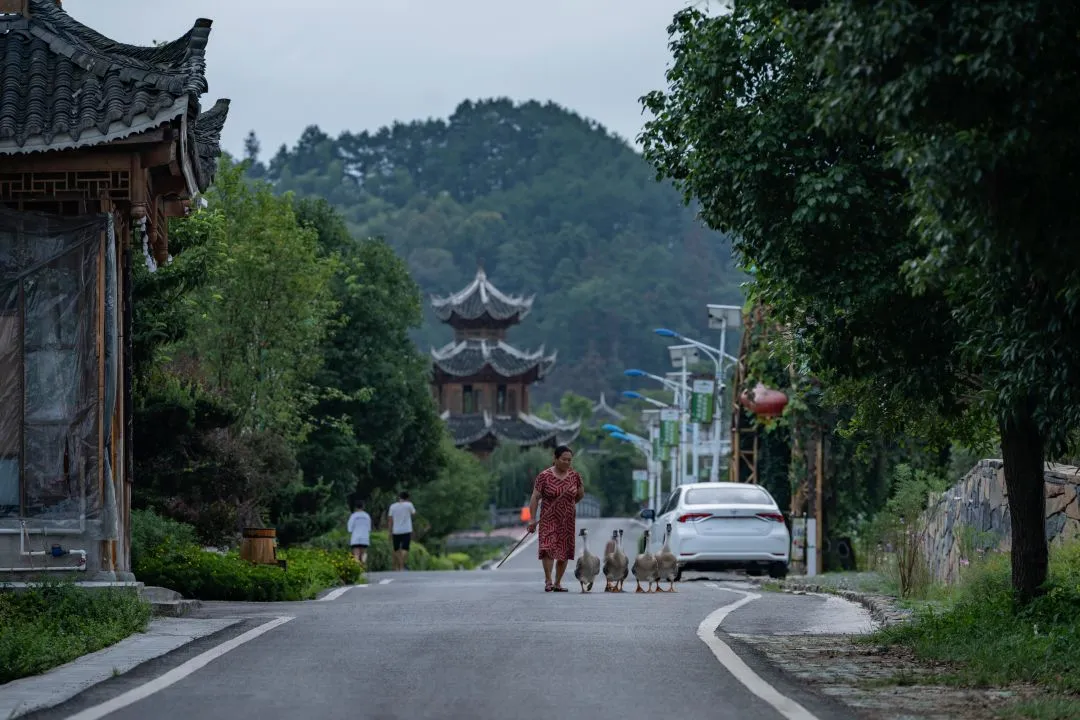 1735608442152997.jpg 1735608435487.jpg