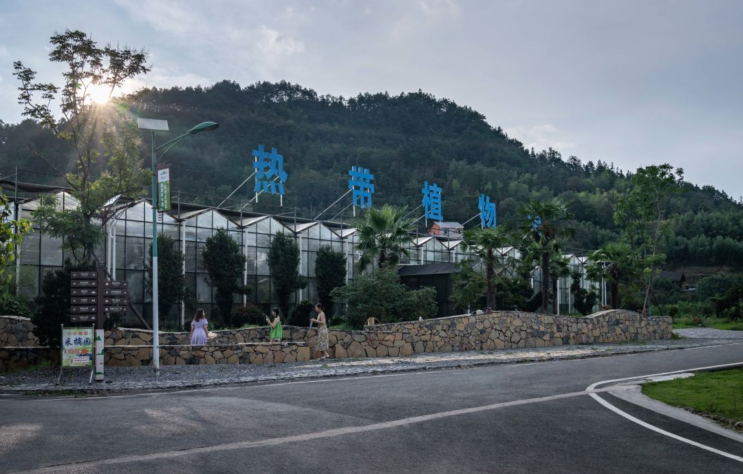 1735608492185677.jpg 1735608456546.jpg