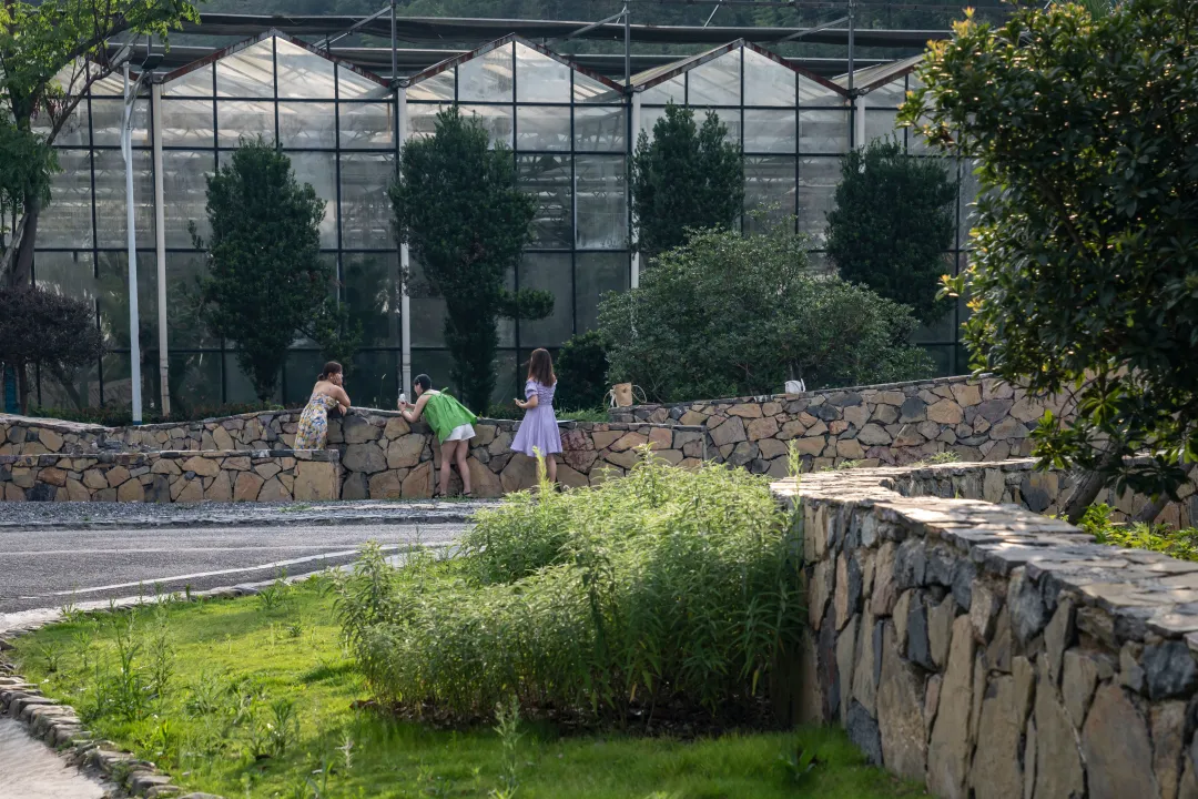 1735608497113280.jpg 1735608458324.jpg