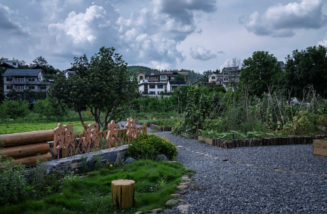 1735608509922280.jpg 1735608462480.jpg