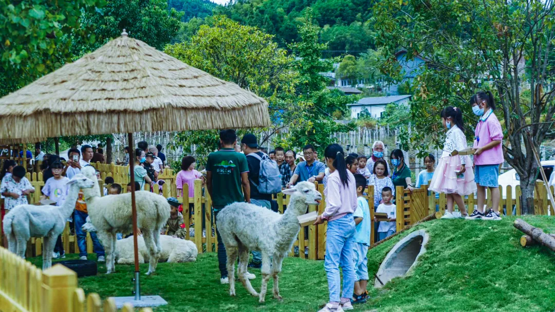 1735608529155201.jpg 1735608471263.jpg