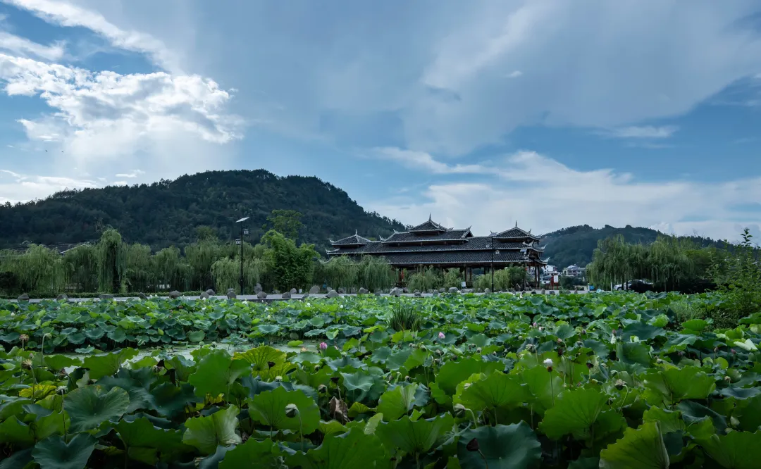 1735608554798505.jpg 1735608546545.jpg