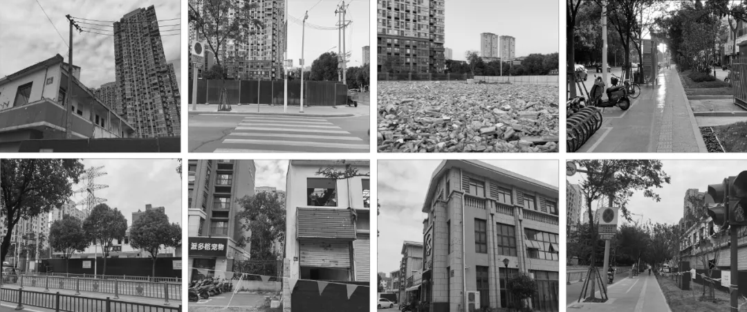 1735629499430519.jpg 1735629495535.jpg