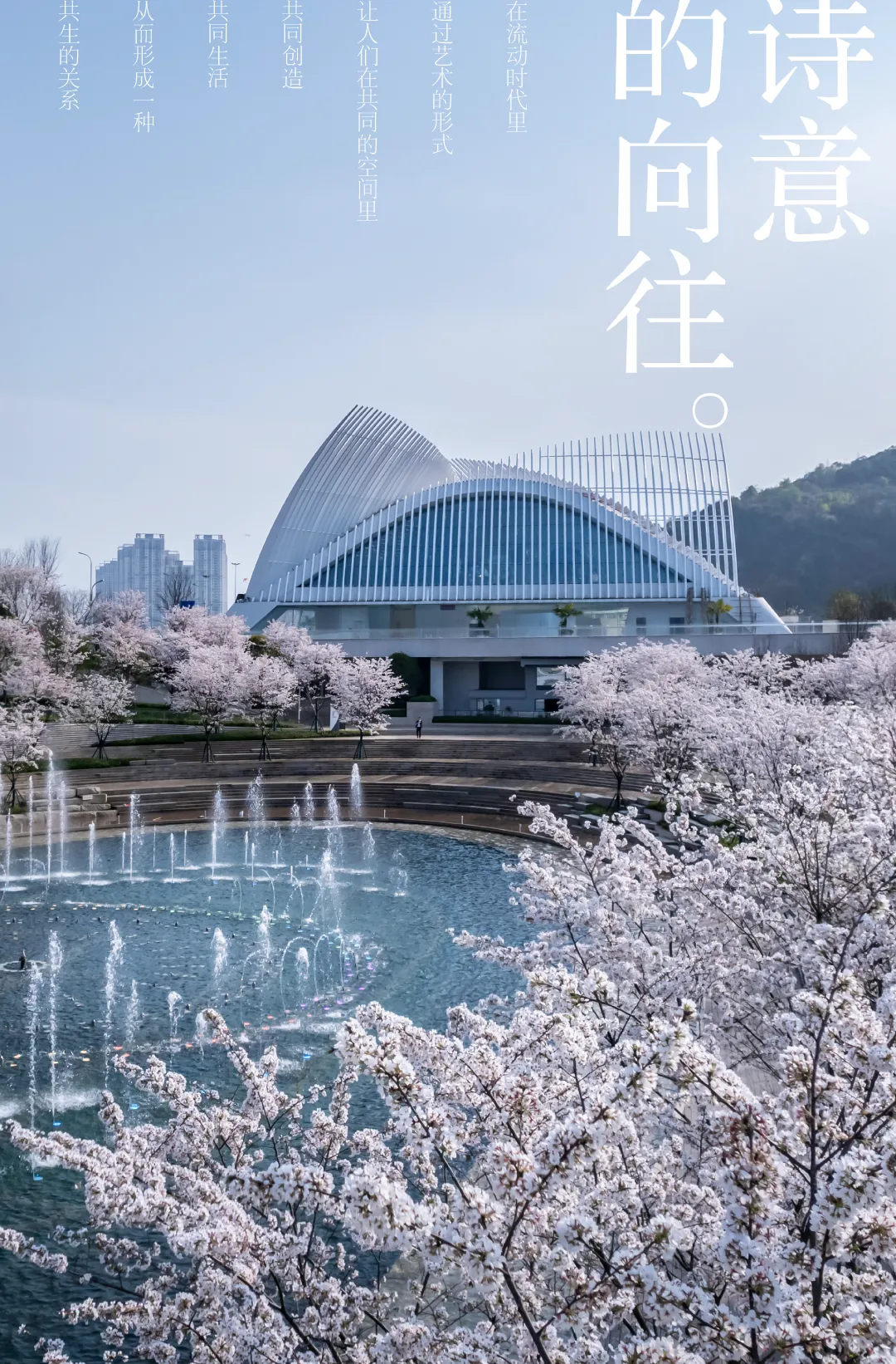 1735630743204702.jpg 1735630729996.jpg