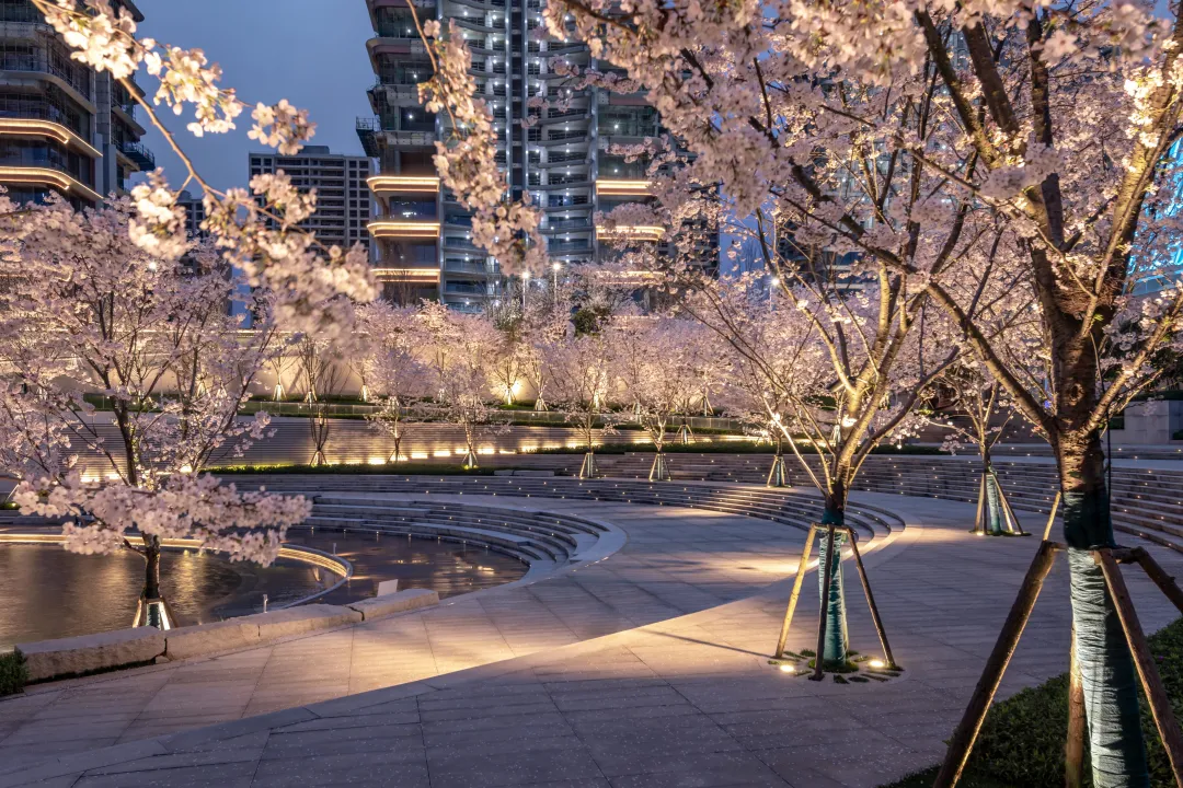 1735631038151937.jpg 1735631024735.jpg