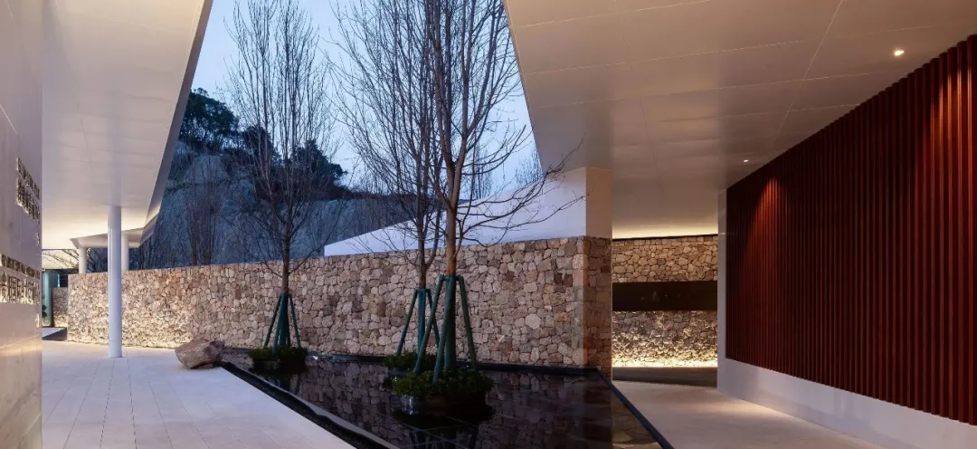 1735631157123831.jpg 1735631134867.jpg