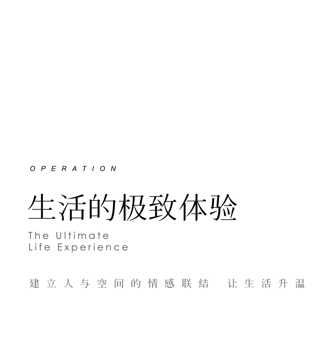 1735631316148563.jpg 1735631301568.jpg