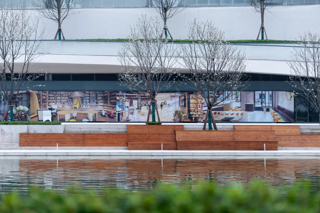 1735631365752065.jpg 1735631359374.jpg