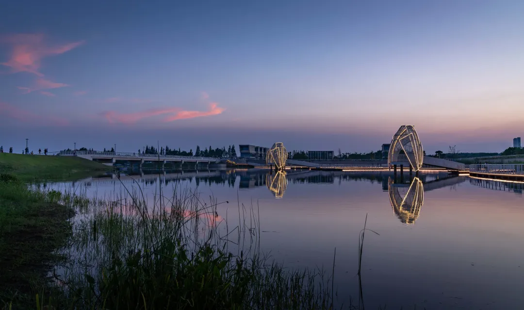 1735632452499831.jpg 1735632435693.jpg