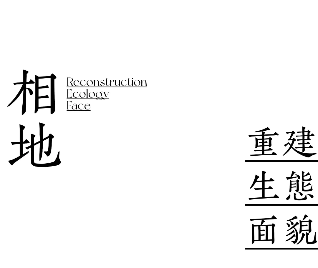 1735632457860322.jpg 1735632437645.jpg