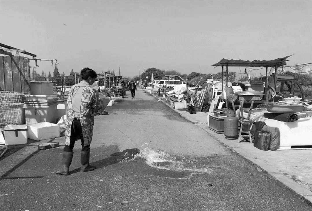 1735632498675305.jpg 1735632495049.jpg