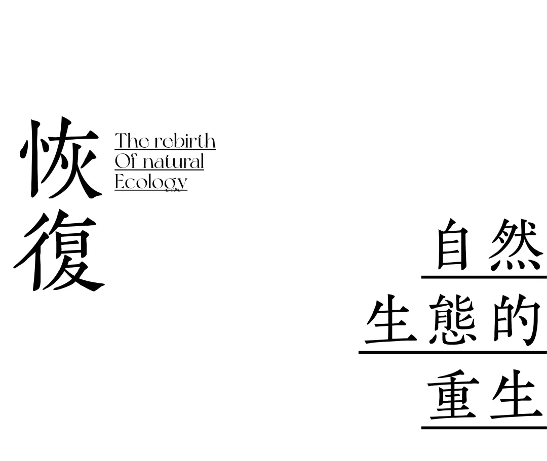 1735632510664418.jpg 1735632506175.jpg