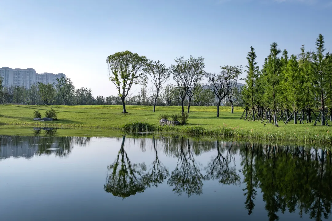 1735632550188595.jpg 1735632538016.jpg