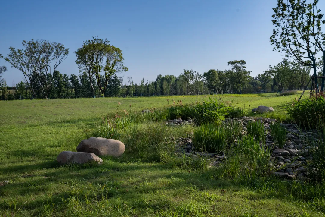 1735632555806228.jpg 1735632541799.jpg