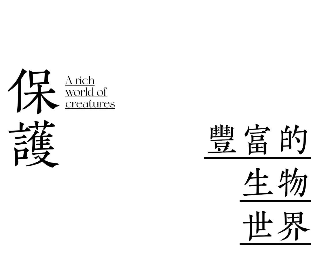 1735632590896752.jpg 1735632570955.jpg