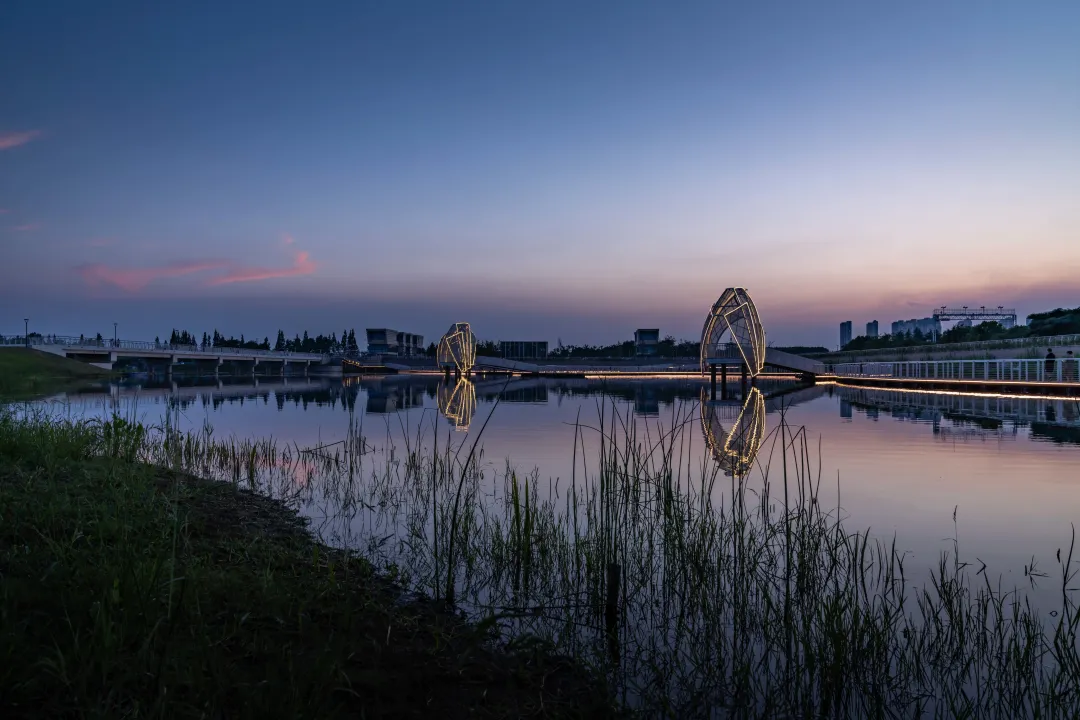 1735632657921759.jpg 1735632647246.jpg