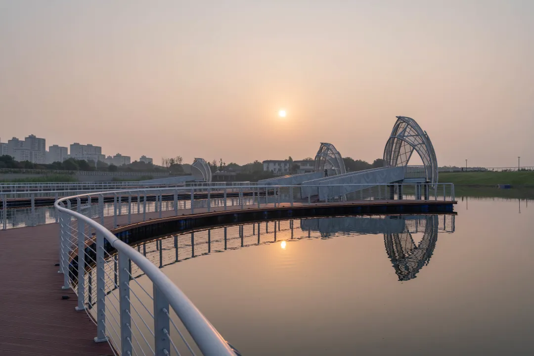 1735632675112368.jpg 1735632668260.jpg