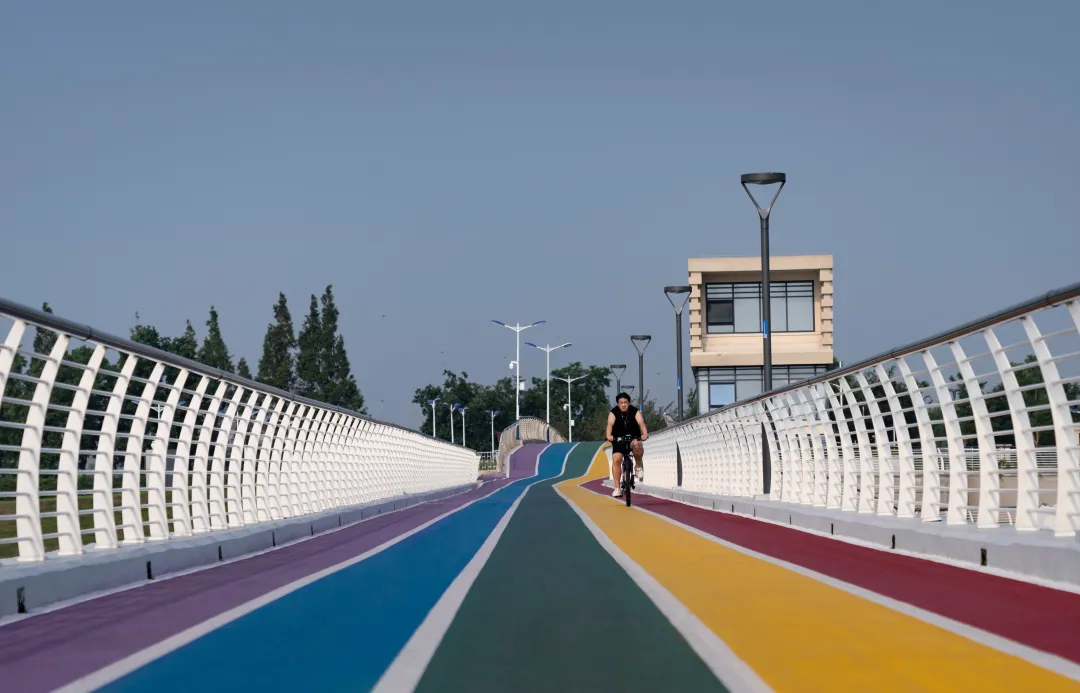 1735632692164453.jpg 1735632686718.jpg