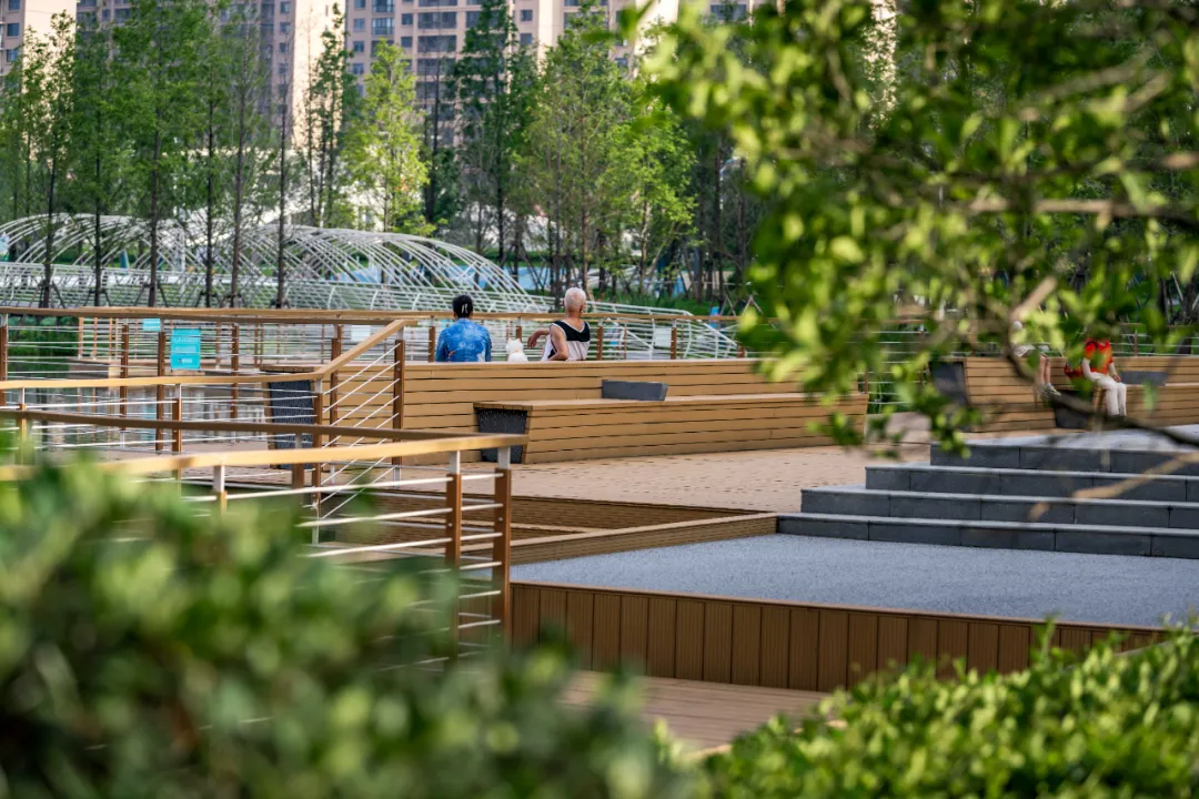 1735633906196254.jpg 1735633874199.jpg