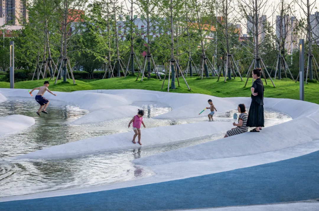 1735633910207092.jpg 1735633876546.jpg