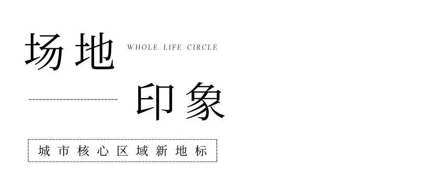 1735633927183260.jpg 1735633923017.jpg