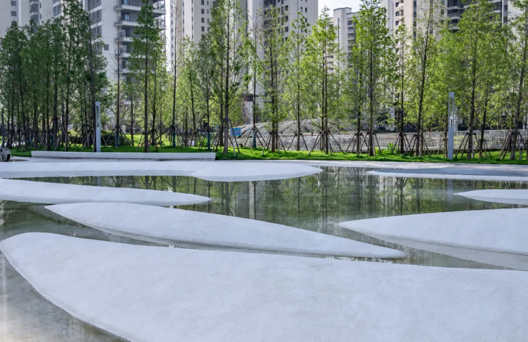 1735634128115800.jpg 1735634118973.jpg