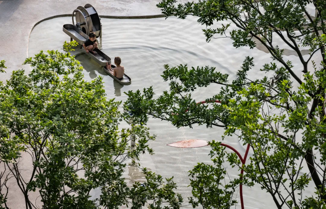 1735634171815228.jpg 1735634158020.jpg