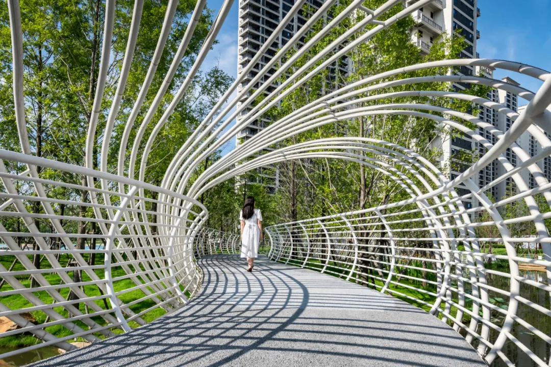 1735634285851777.jpg 1735634274226.jpg