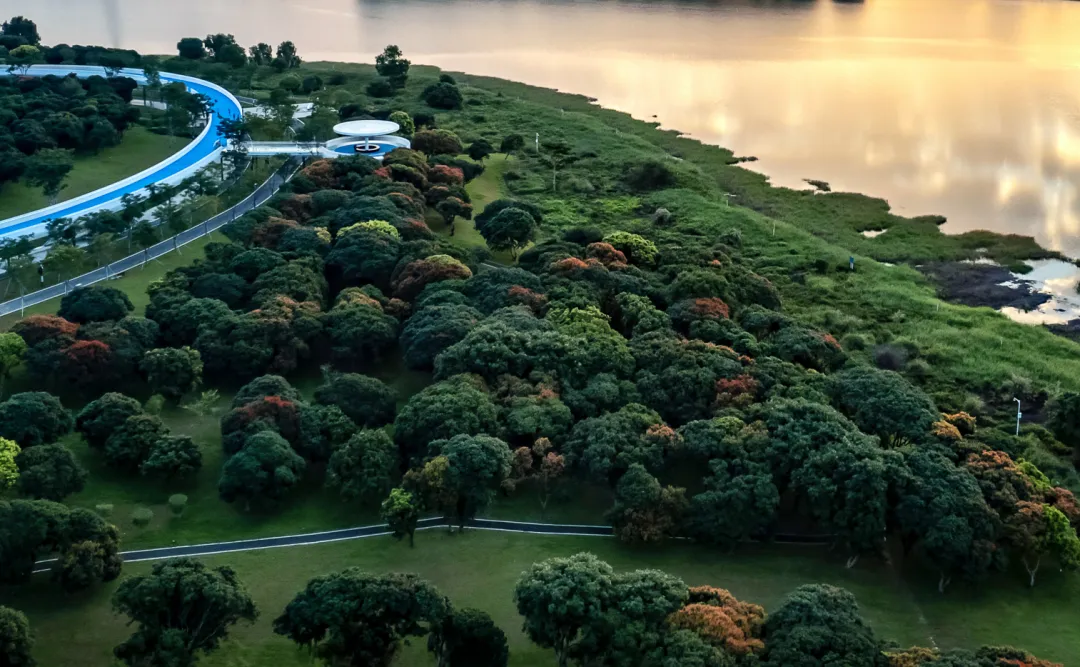 1735636750119800.jpg 1735636738351.jpg