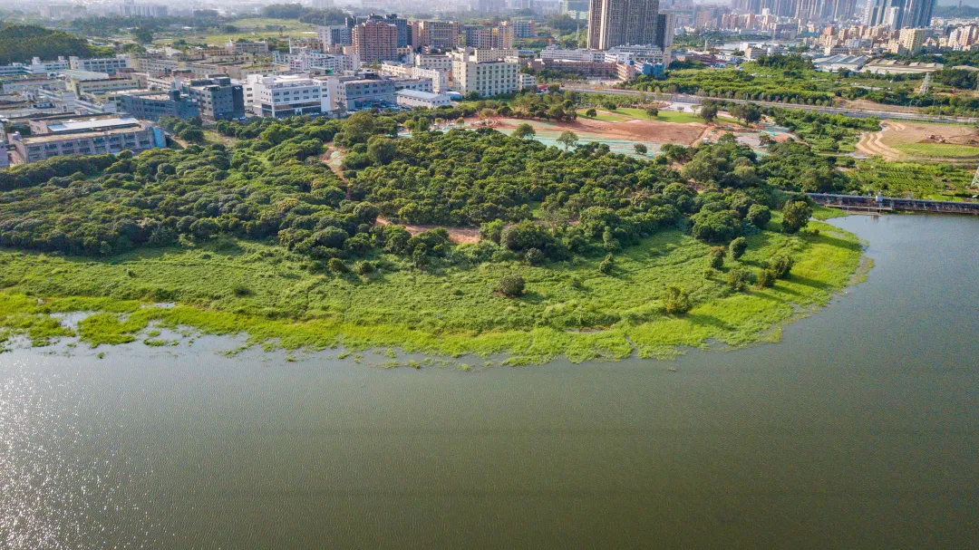 1735636800810366.jpg 1735636791423.jpg