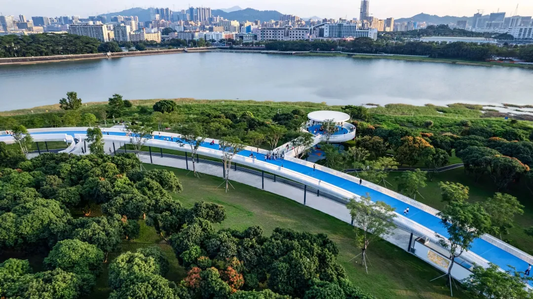 1735636953110013.jpg 1735636947406.jpg