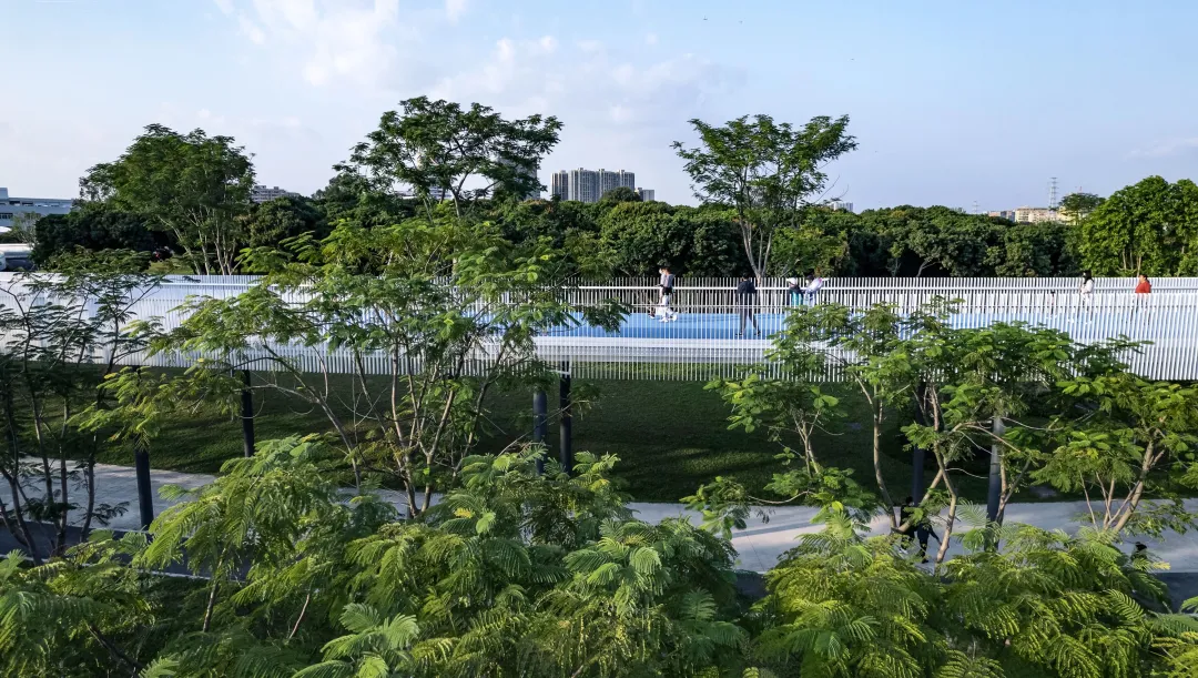 1735636957103057.jpg 1735636949519.jpg