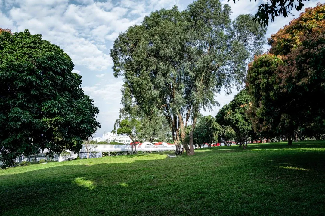 1735636970147829.jpg 1735636963319.jpg