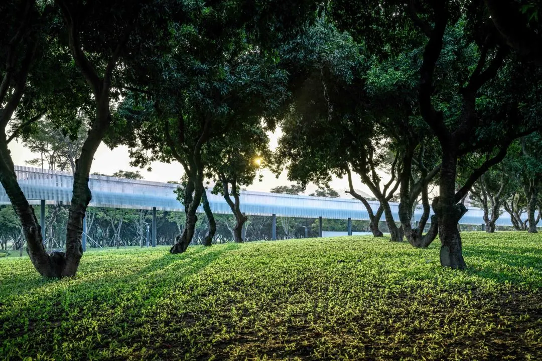 1735636975658482.jpg 1735636965043.jpg