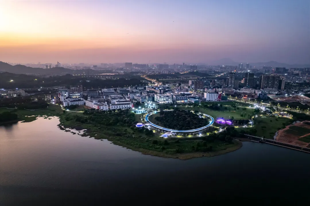 1735636991214690.jpg 1735636981353.jpg